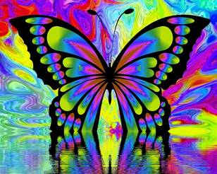 Abbildung: abstraktes Bild eines Schmetterlings in bunten Farben als Logo des Visiana-Liedes